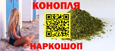 прущие грибы Владивосток