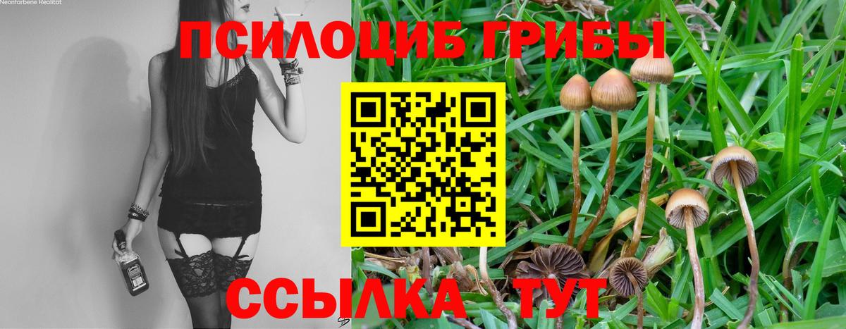 Псилоцибиновые грибы MAGIC MUSHROOMS Новоалександровск
