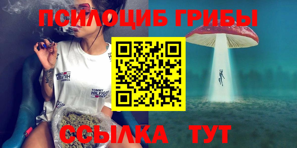 Новоалександровск  Галлюциногенные грибы Magic Shrooms  Вход с VPN  Галлюциногенные грибы мухоморы 