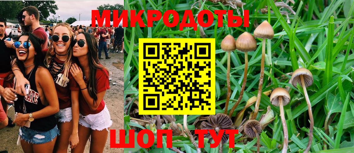ГАШ  Метамфетамин  A PVP СОЛЬ   Новоалександровск  Меф МЯУ МЯУ  Вход с VPN  КОКАИН  Конопля  МДМА  Меф МЯУ МЯУ  